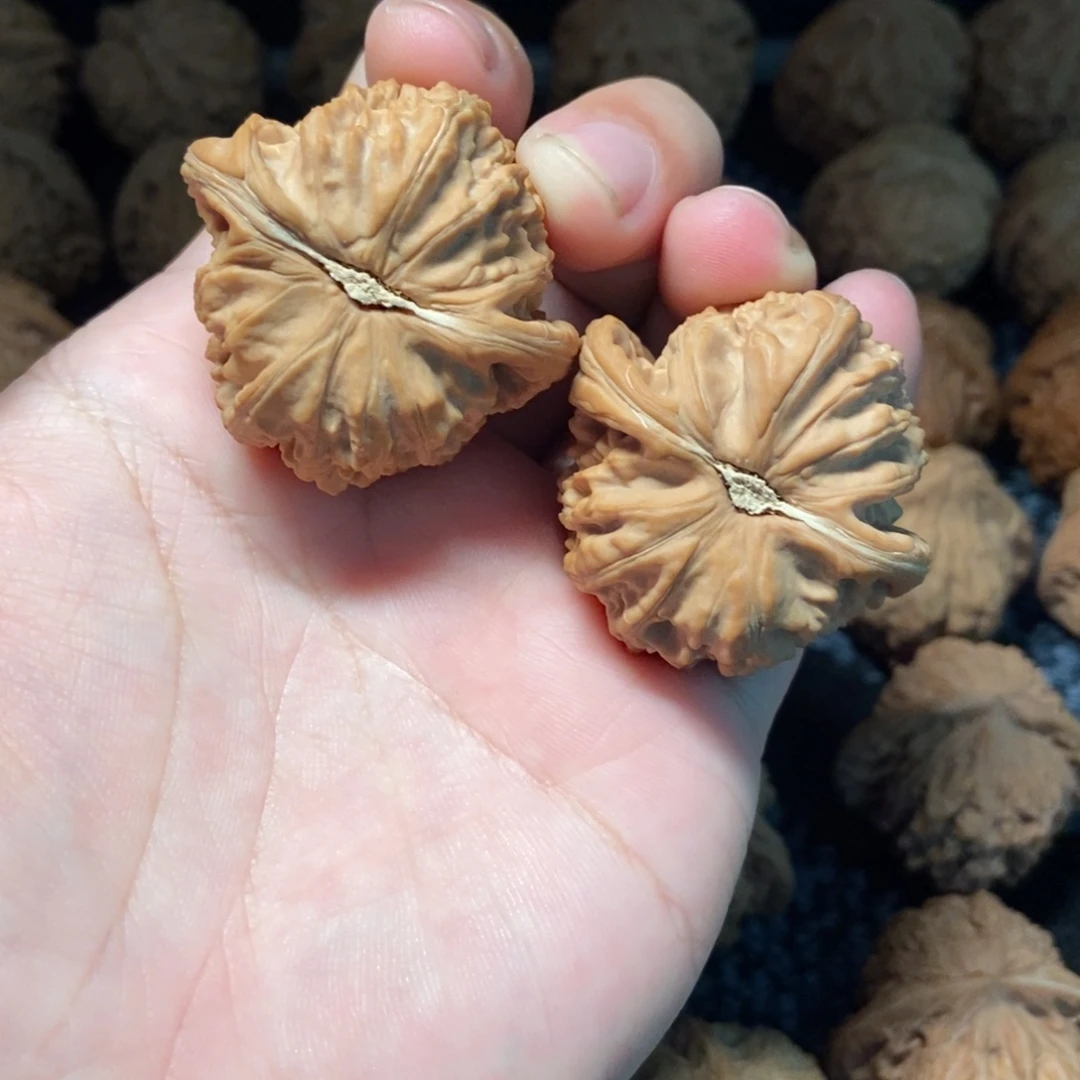 把件文玩核桃文玩核桃白狮子41全品