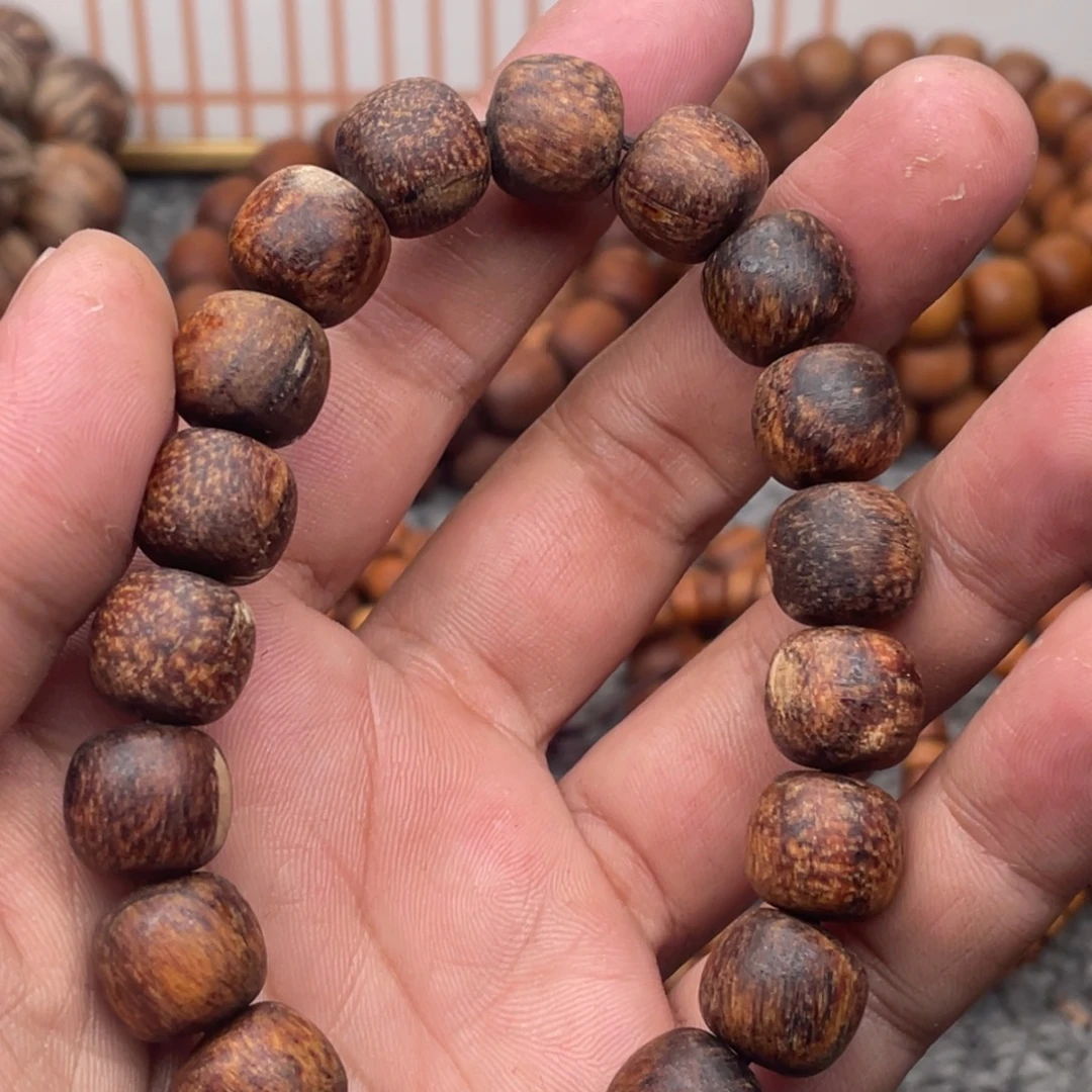 贡木贡木11.12夹白龙