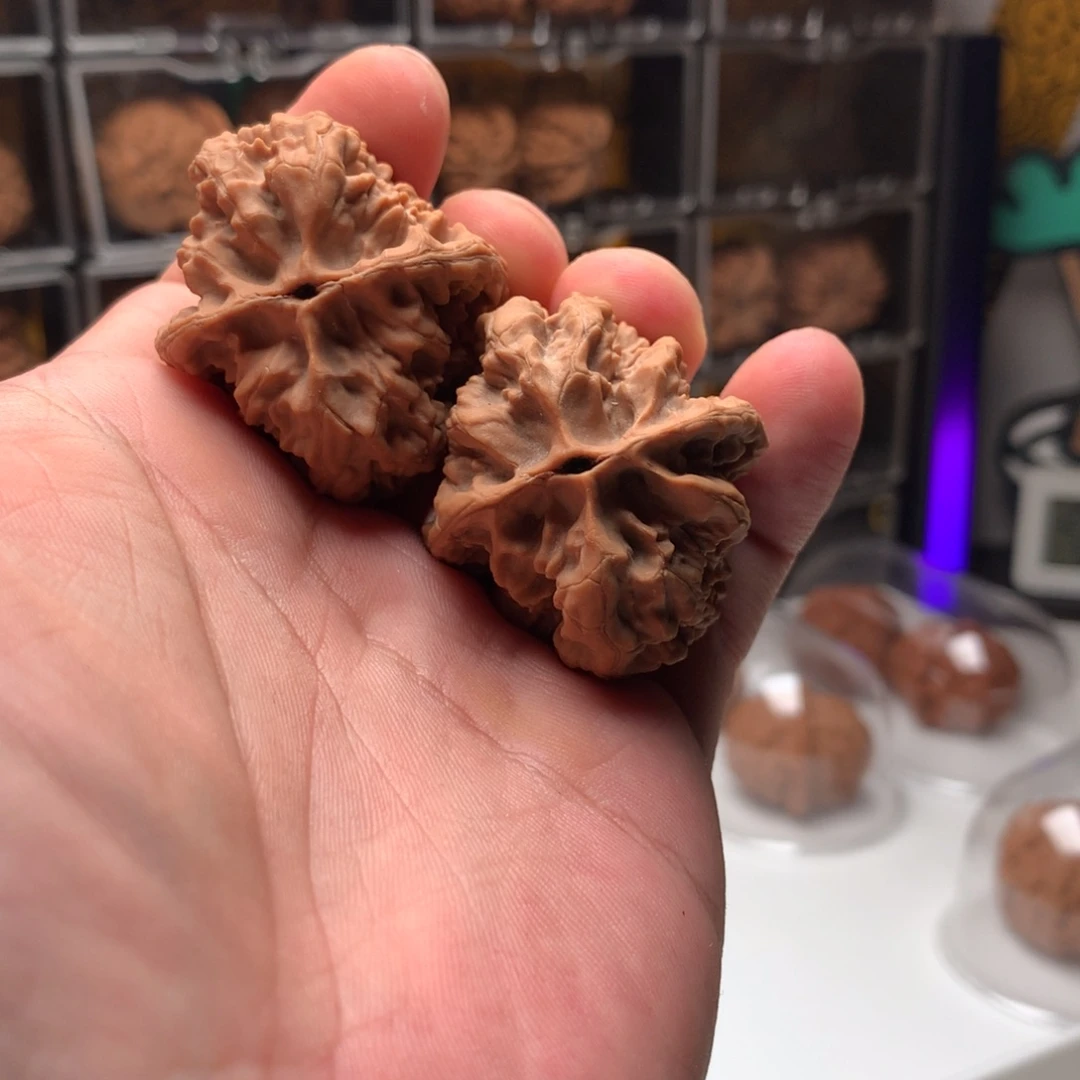 石***貔吊坠桃核十三陵鸡心666