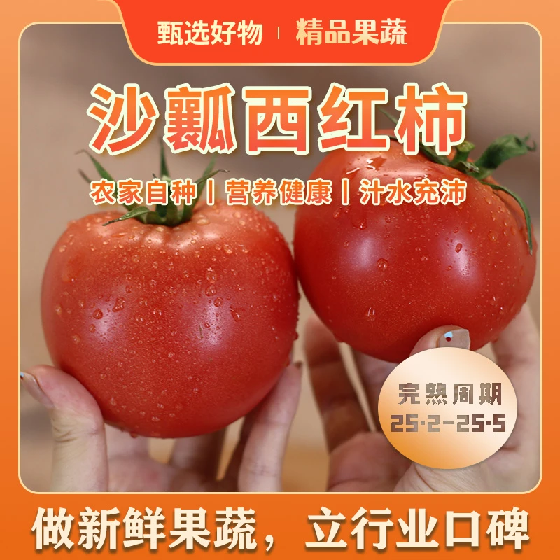【沙瓤西红柿】沙瓤番茄西红柿新鲜蔬菜农家自然熟