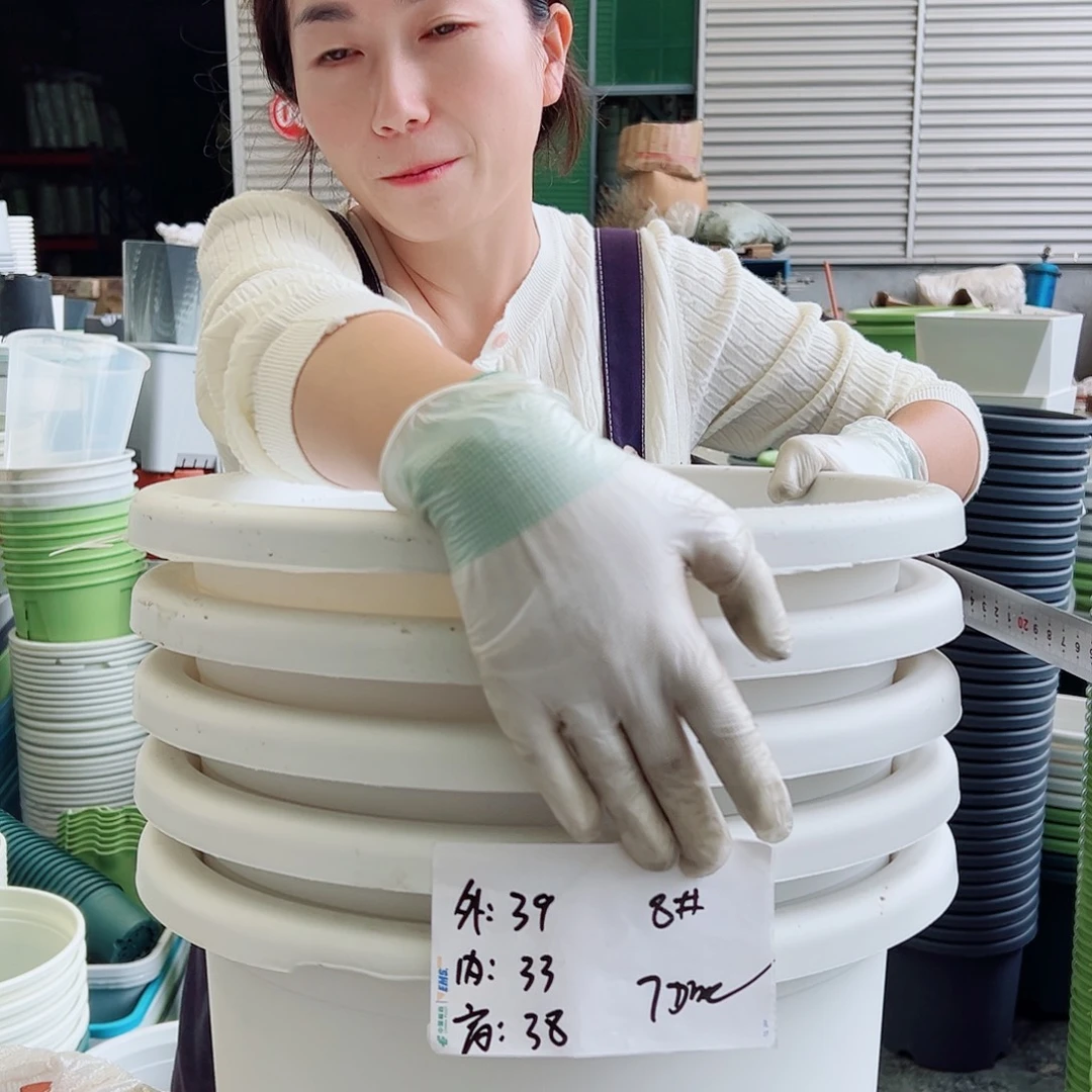 瑕疵四季盆8#白色5个无托