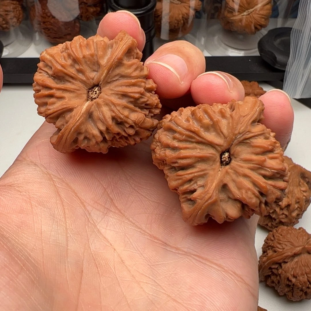 西***罗把件文玩核桃南疆40