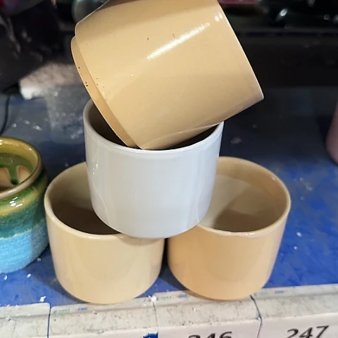 4个····全是福利····245