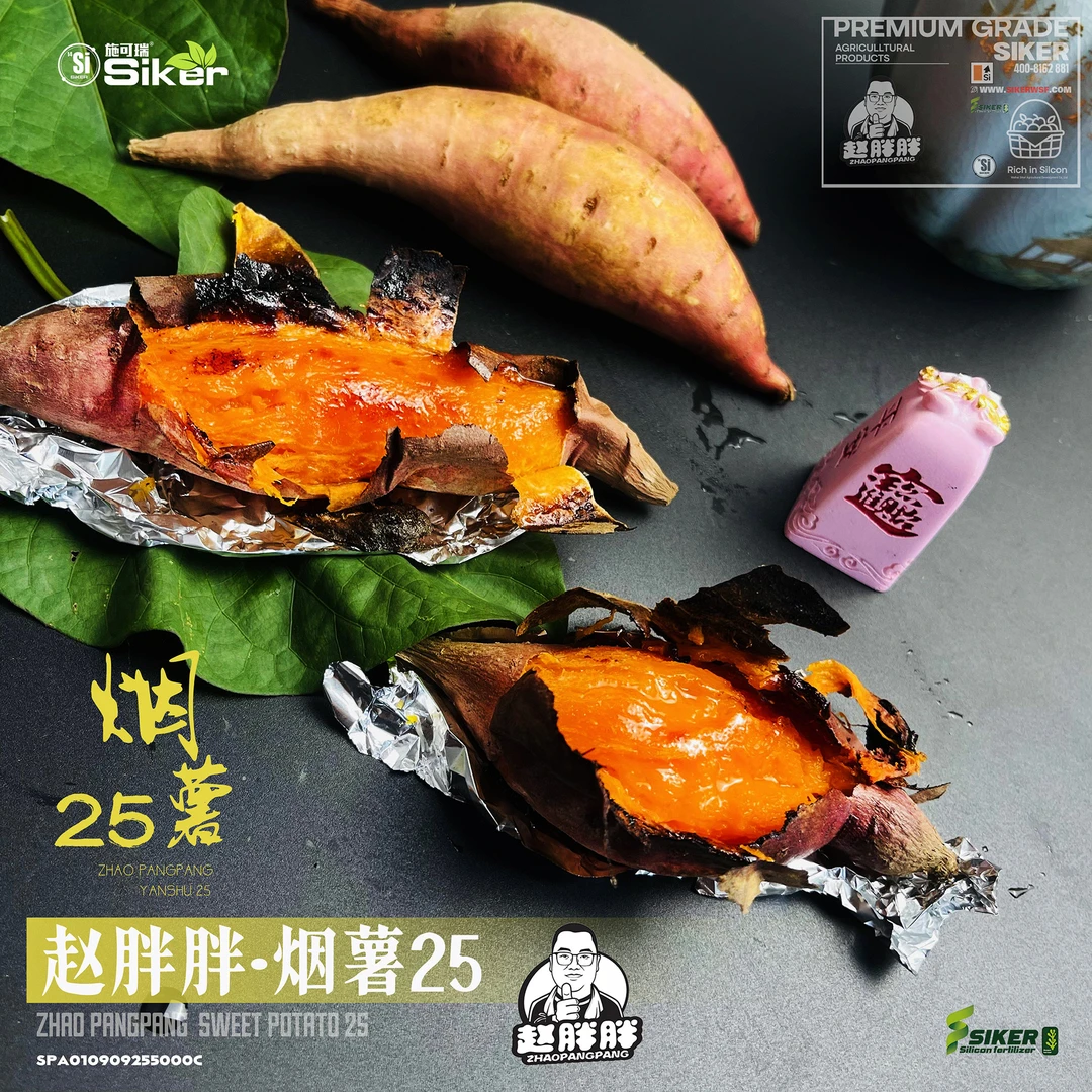 赵胖胖正宗山东烟薯25号糖心流油沙地红薯硅养红薯烟薯25号5斤
