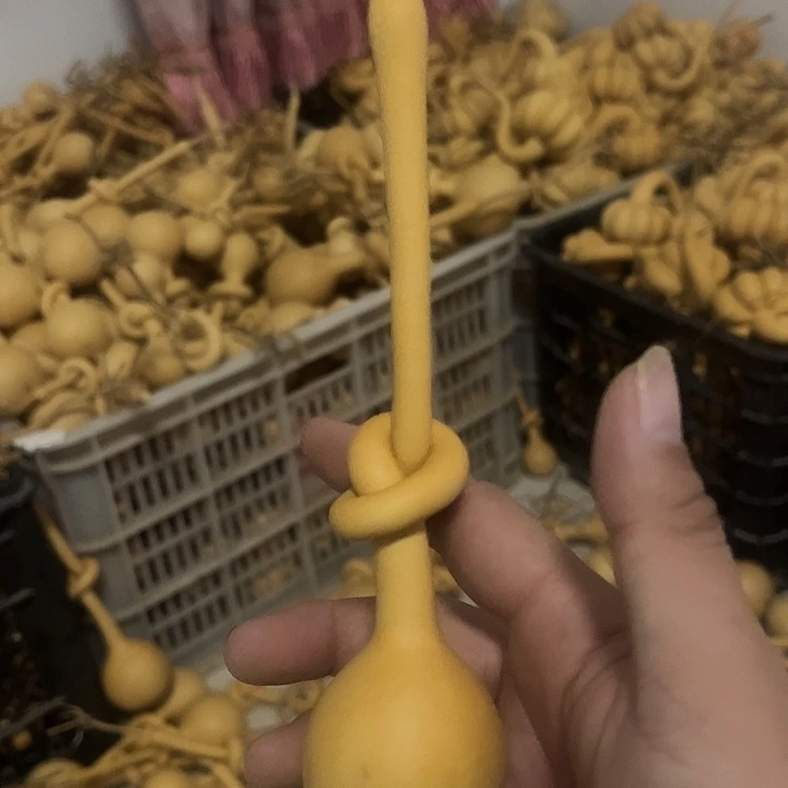 1个单扣6粒小锤种子6粒八宝