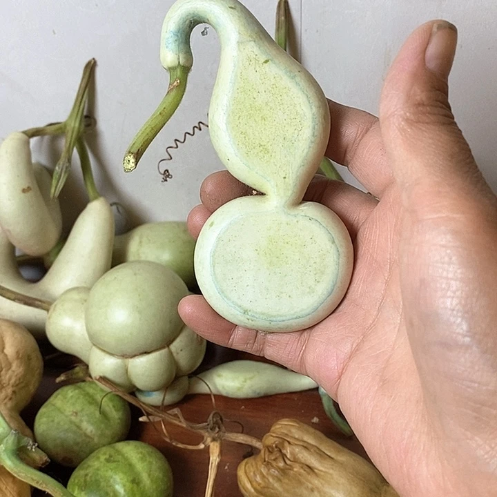漠***北青皮葫芦手把件摆件