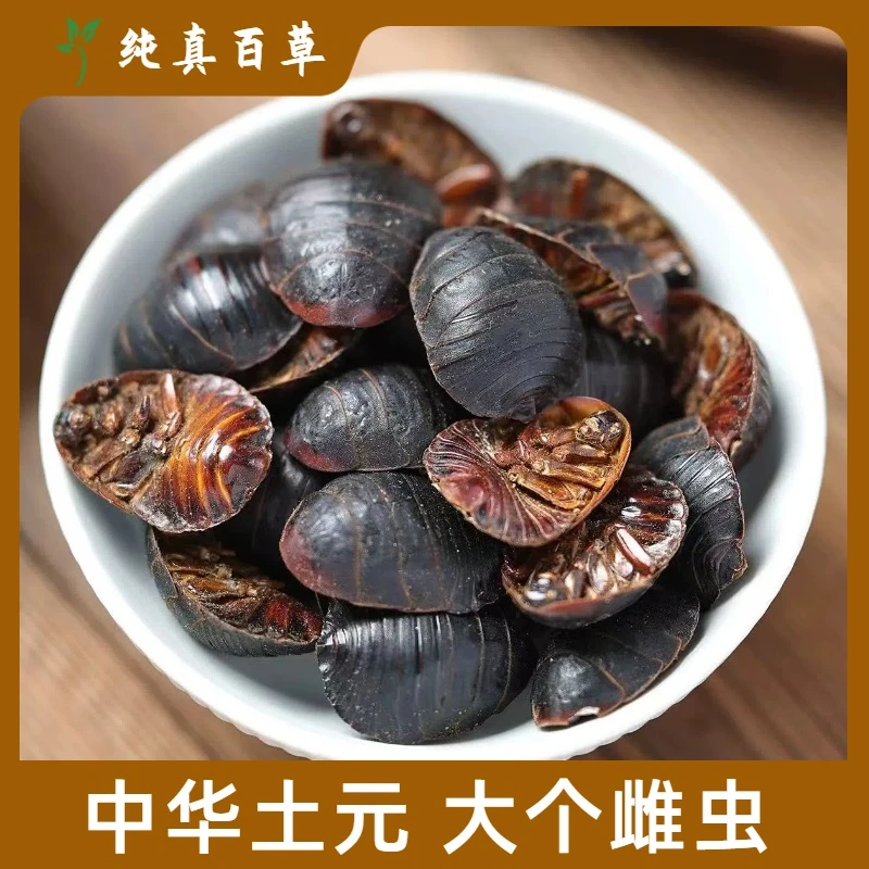 土元 土鳖虫土元地鳖虫土元虫土元粉 清水干货 干净无杂另有甘草