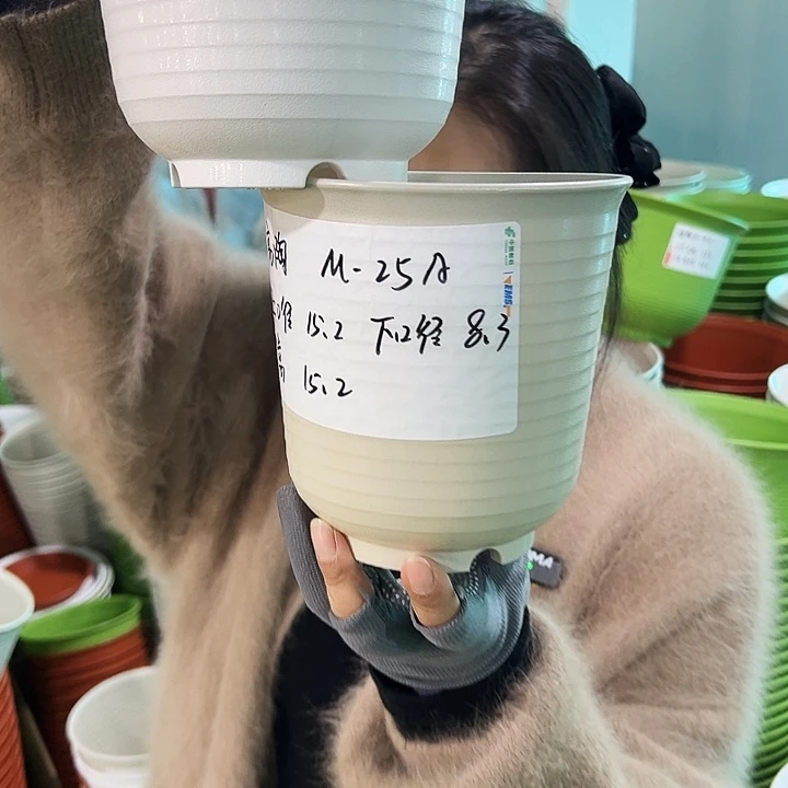 正品高陶口15高15米色无托8只