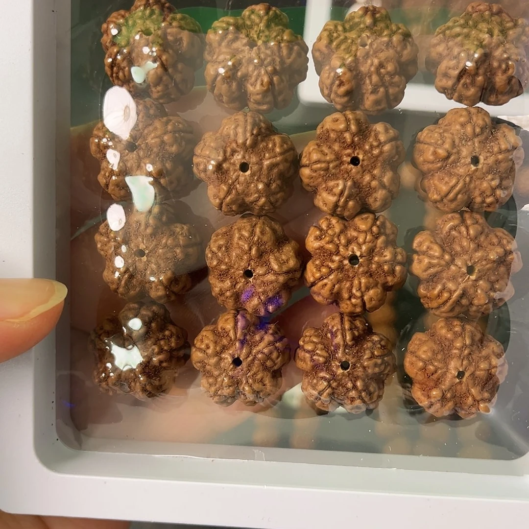 把件金刚菩提绝情帝王花