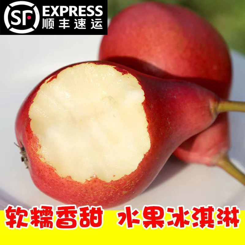 【顺丰】2025年头茬红啤梨软糯香甜新鲜啤酒梨皮梨太婆梨子大果整箱