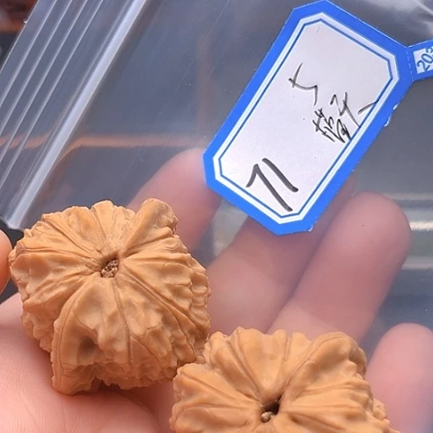 文玩核桃吊坠蓝*马老四