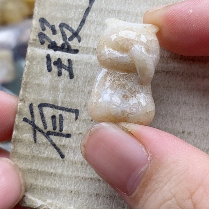 硅化珊瑚（珊瑚玉）未镶嵌颈饰胖*