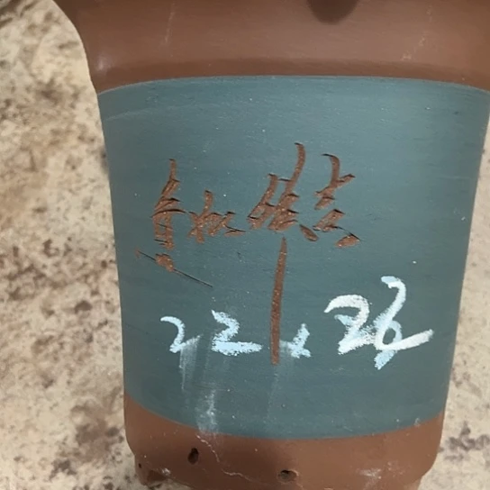 紫砂工艺厂……紫砂工艺厂……