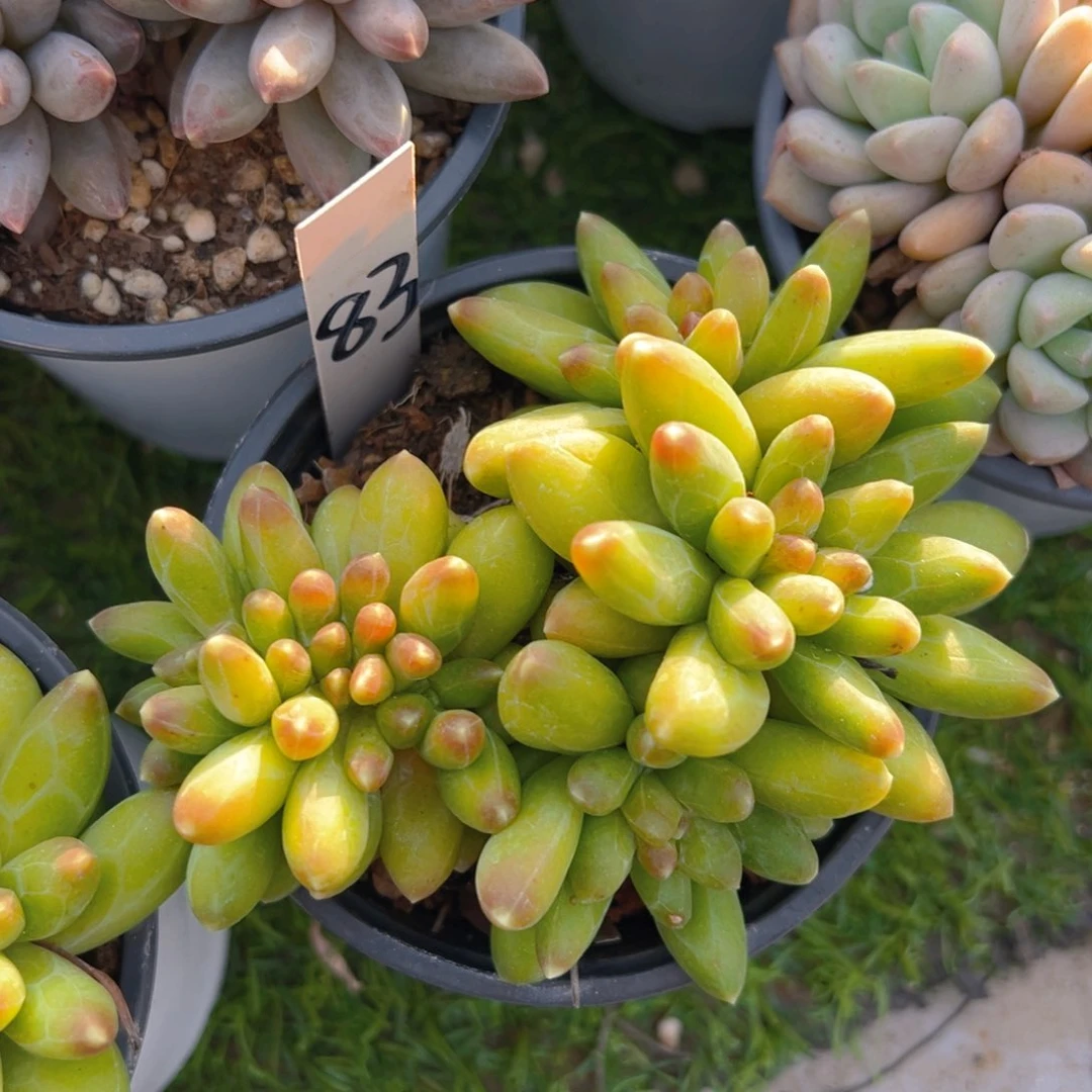 福利来了来了来了来啦