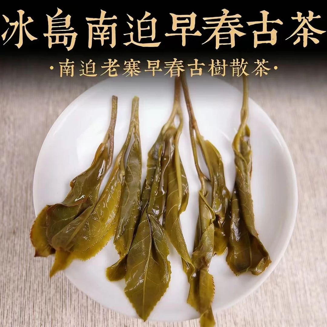 新粉丝限拍10单！冰岛南迫百年古树混采头春生茶散茶山野韵野花香