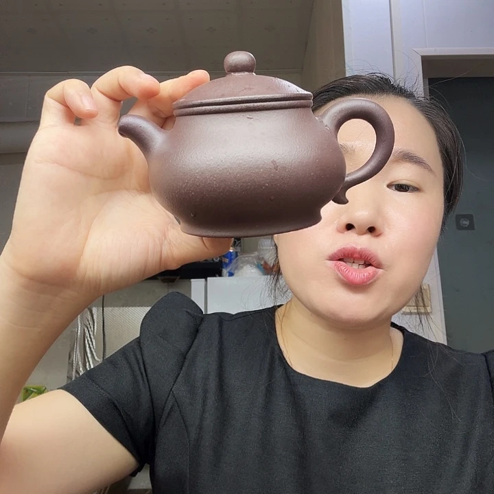 紫砂茶壶原矿半手工天青泥潘壶260cc