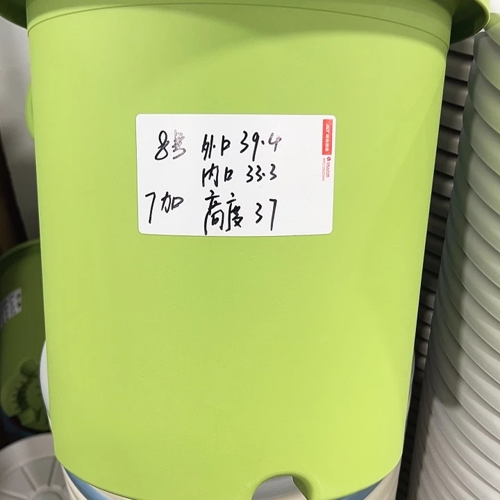 特价8号四季口39.4高37果绿无托3只