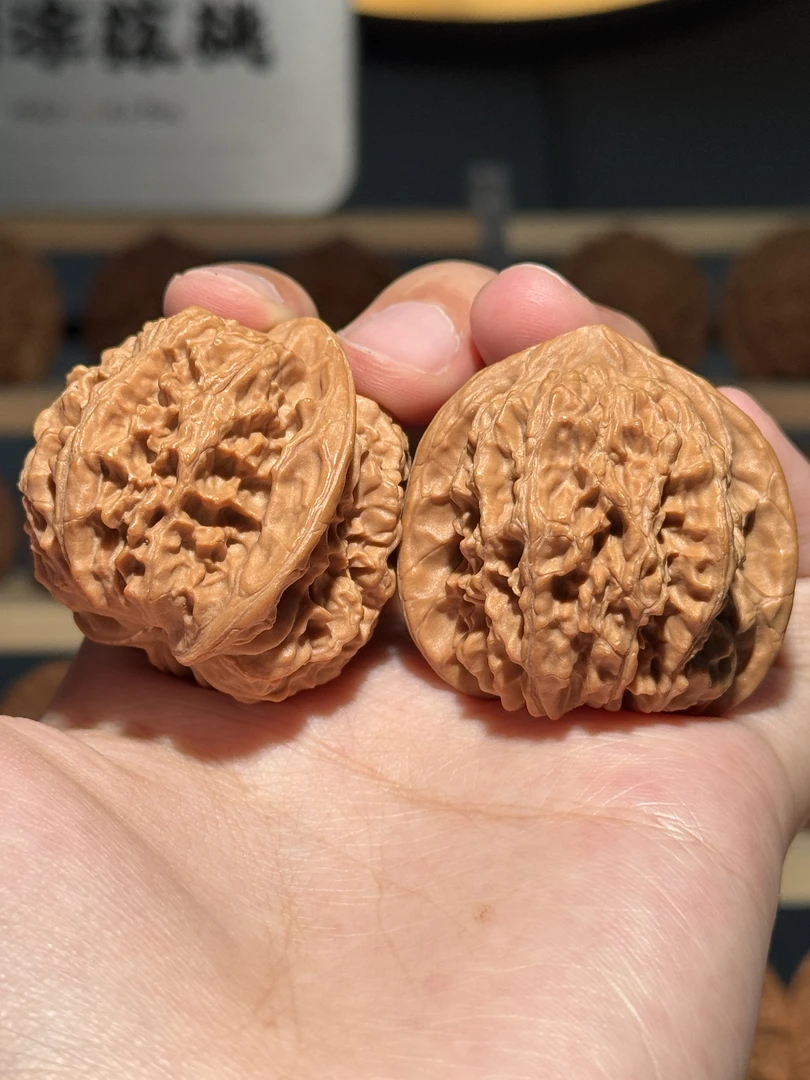 L原树野核《龙甲四方鼎》