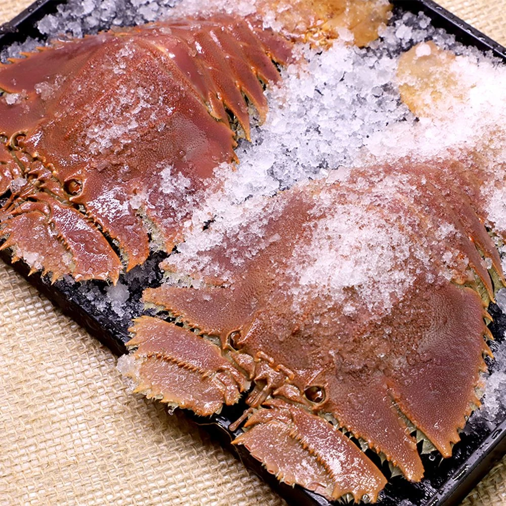 野生琵琶虾本港深海捕捞（顺丰发货）