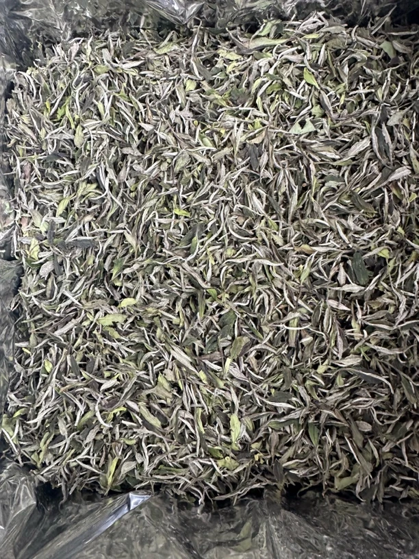 2025年幽兰香一级白牡丹