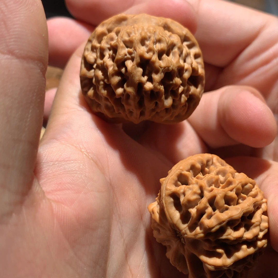 猴头核桃吊坠羽5689999999999999