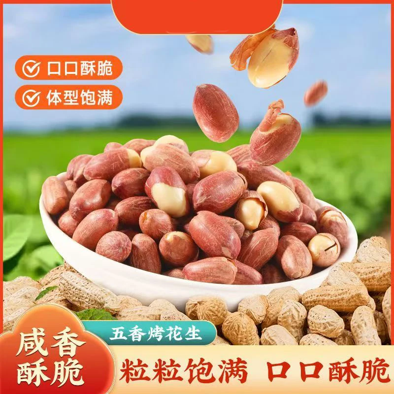 【特价】25年新烤五香花生米蒜香花生米山东特产烤熟花生休闲食品