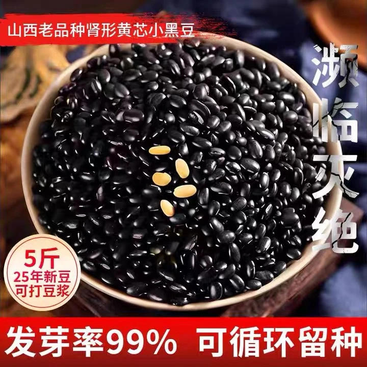 黄心小黑豆2025年新货农家老品种黄芯肾形雄黑豆豆浆专用真空包装