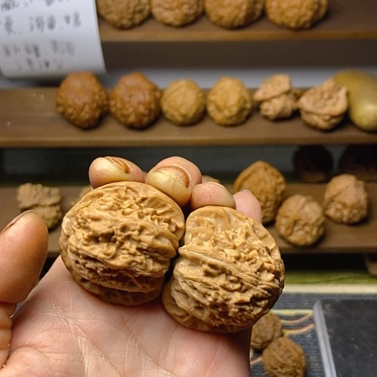 白狮全品38.36.35