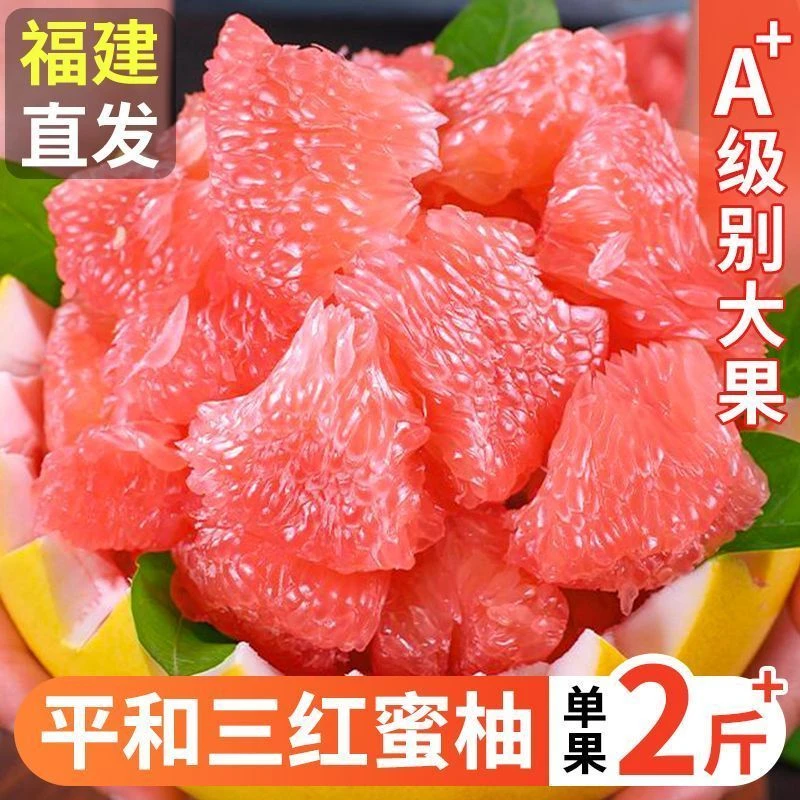 福建正宗平和当季红心蜜柚红肉酸甜可口新鲜柚子中秋水果礼盒装