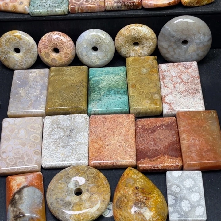 未镶嵌吊坠硅化珊瑚（珊瑚玉）