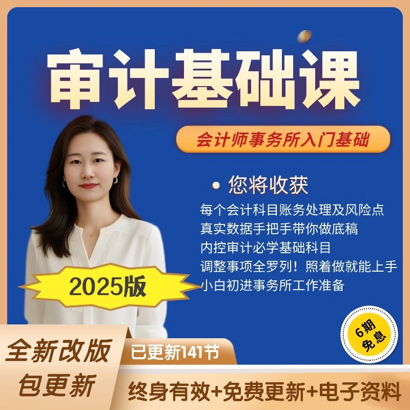 搞定做账/审账/底稿/内控审计零基础课事务所2025【安卓手机下单】
