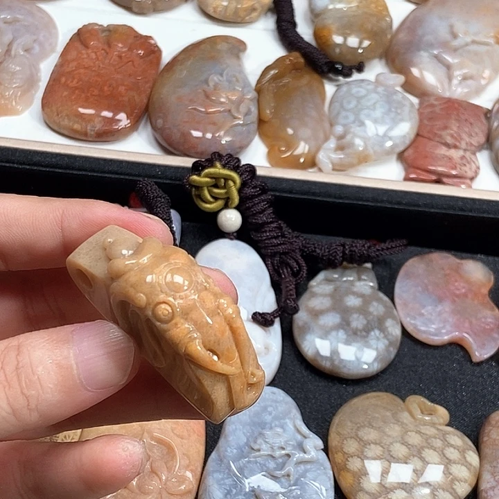 硅化珊瑚（珊瑚玉）未镶嵌颈饰