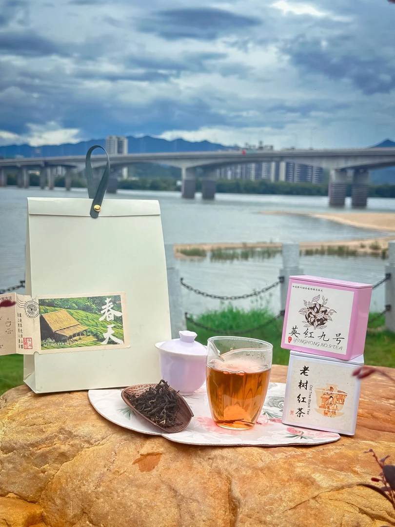 新茶2025年春茶红茶伴手礼老树花果香耐泡古树红茶送礼养胃红茶