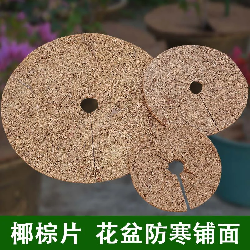 椰棕垫花盆铺面天然椰丝植物装饰圆棕片防草护根垫片盆栽花盆盖面