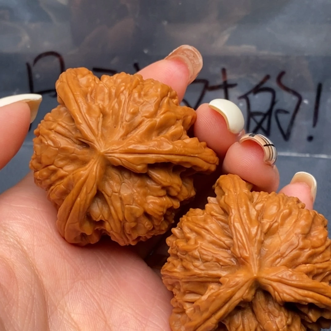 苏***常文玩核桃把件白狮子