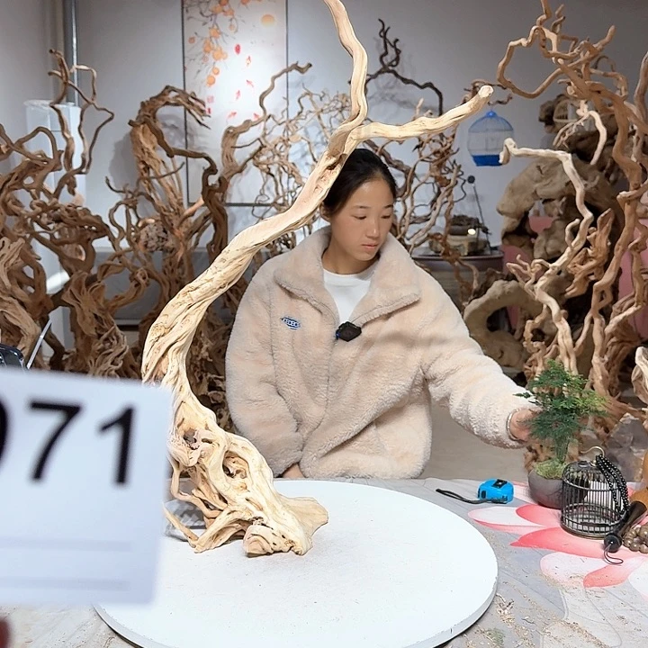 风车木（黑檀木）南***王