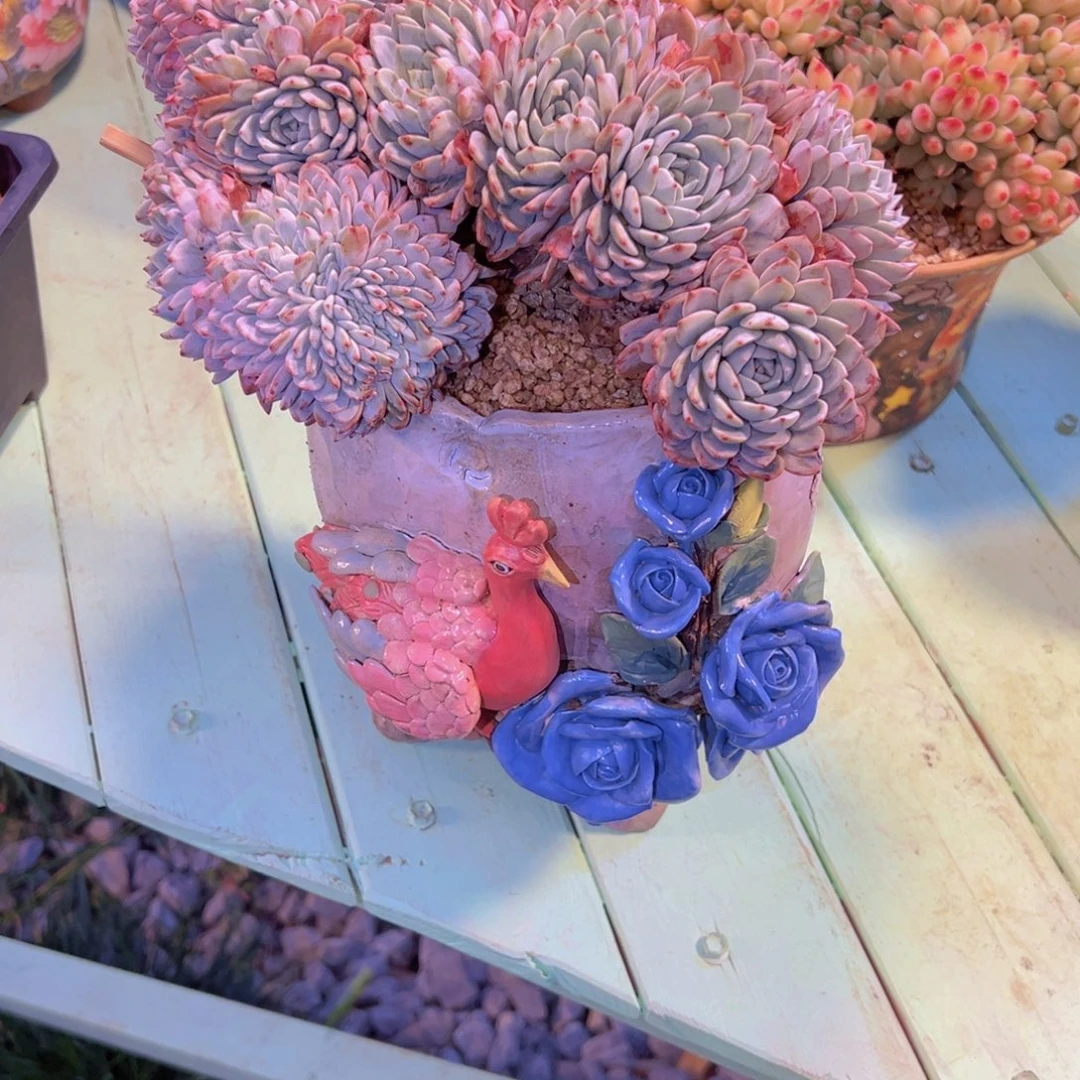 小***狸海棠花朵朵缀海棠花朵寄养