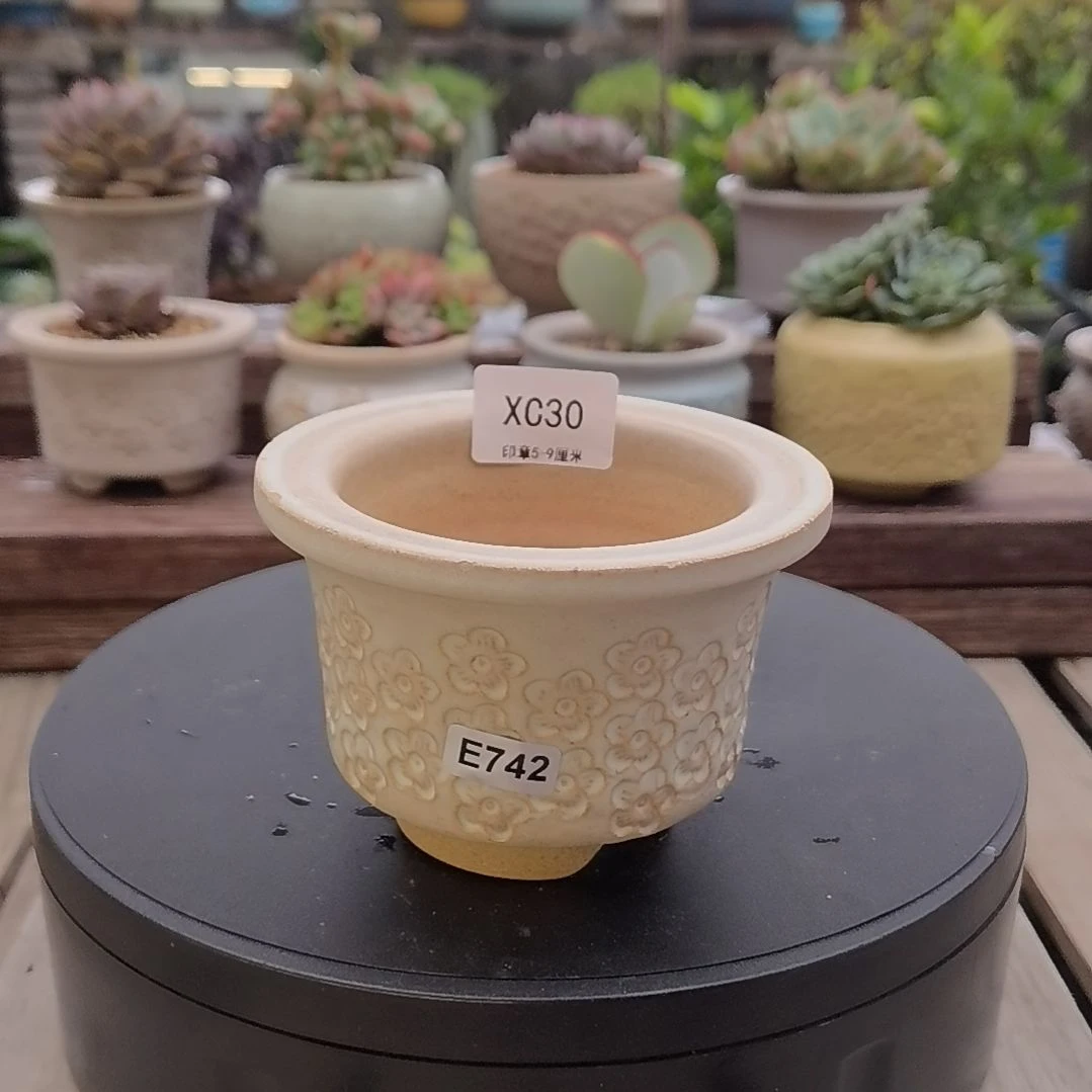 ****️印章多肉花盆XC30