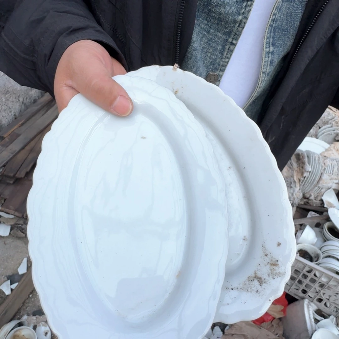 瓷片景德镇高温陶瓷鱼盘2个