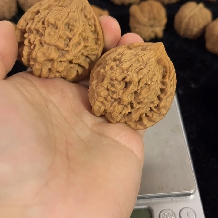 文玩核桃把件47左右练手官帽，编号021