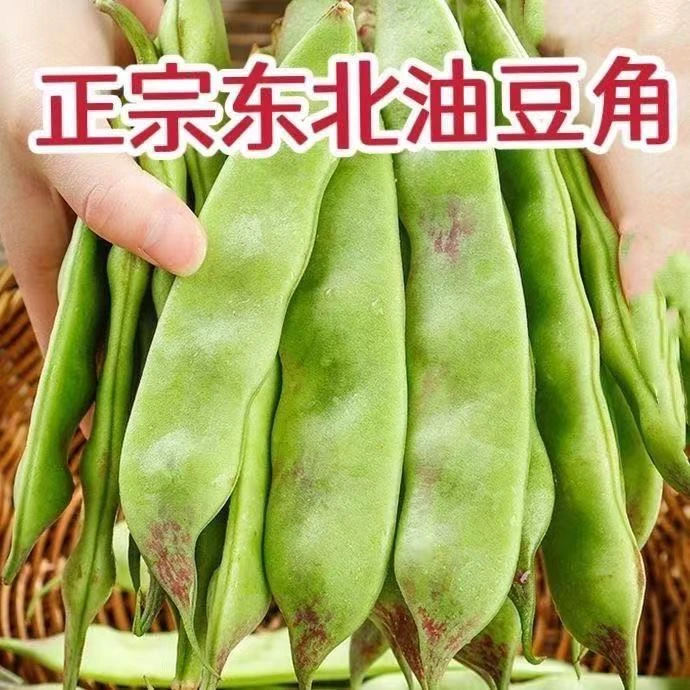 豆角新鲜蔬菜东北油豆正宗一点红当季农家现摘青菜保温箱顺丰包邮
