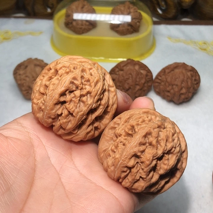 文玩核桃45大粗筋