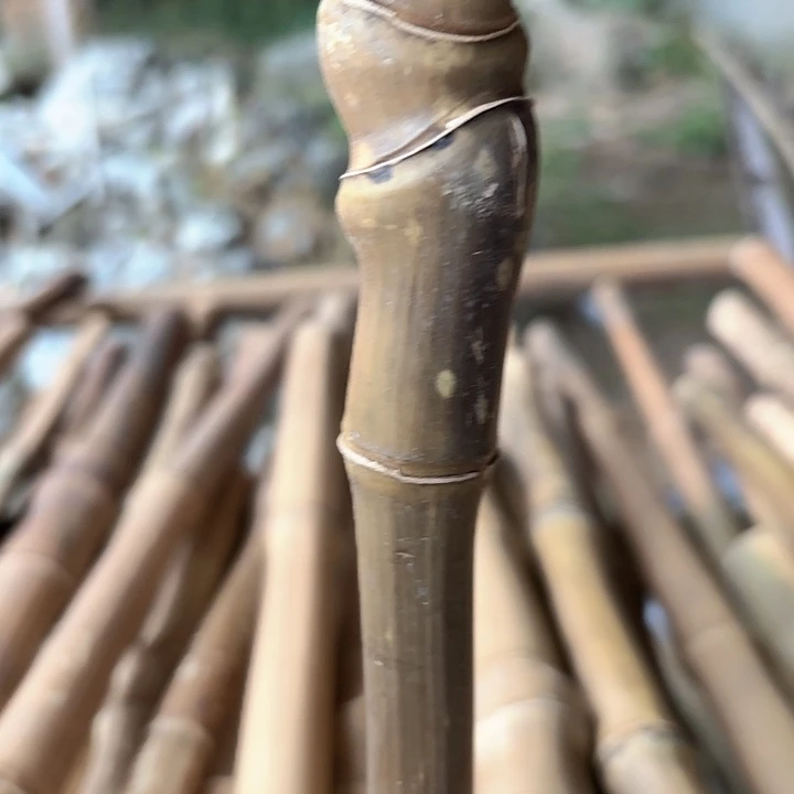 南***方实心竹竹竹竹竹竹竹竹竹