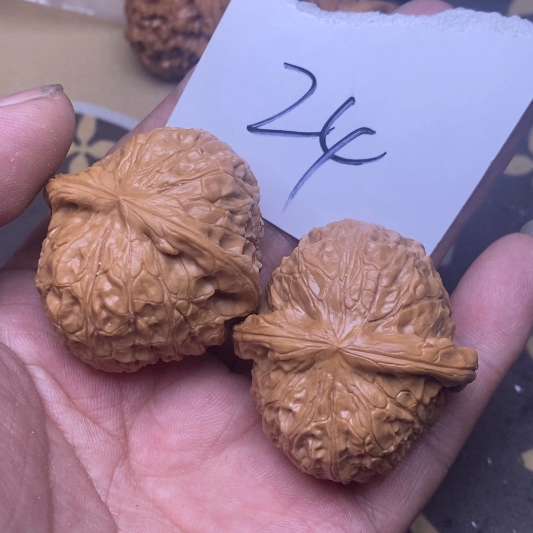 种***亮核桃南瓜蹲尺寸41