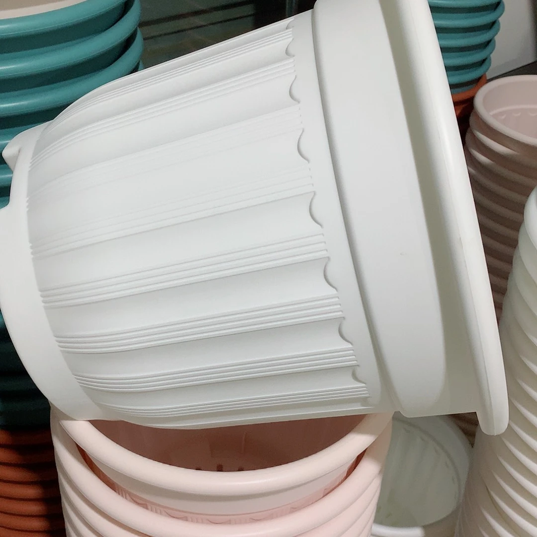 罗马口32白3个无托