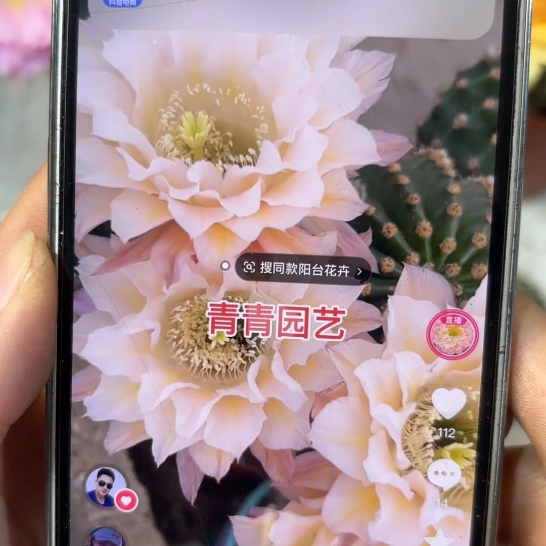 彩草13姨侧牙3.5到4之间