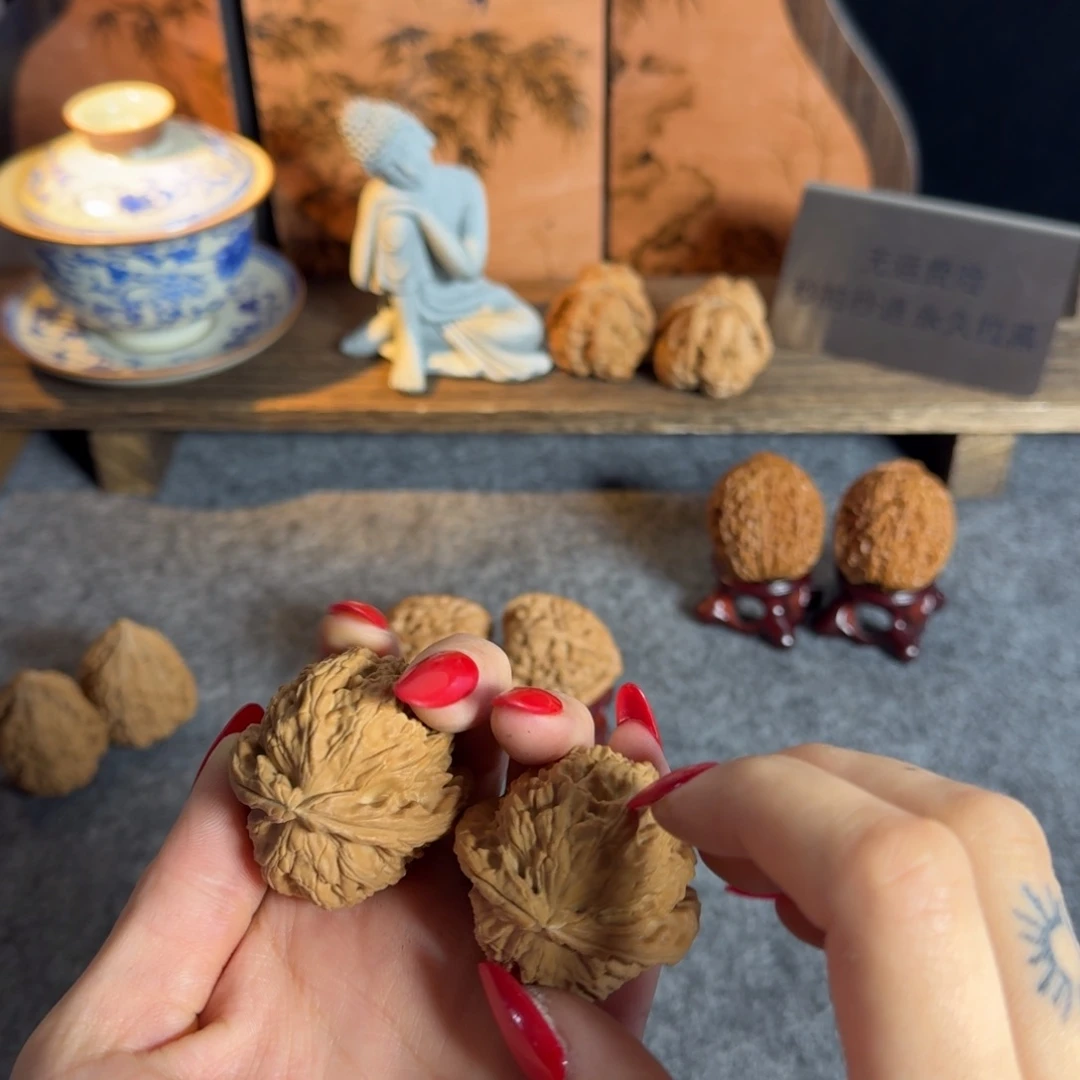 全品41白茬老树白狮子