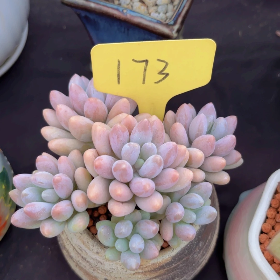 嘟*_我的小可爱们都好可爱啊