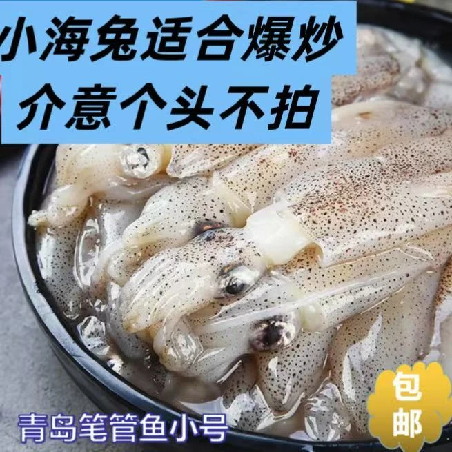 Y【推荐爆炒】迷你小海兔【介意个头不要拍!!】净4斤原浆无水无冰无沙