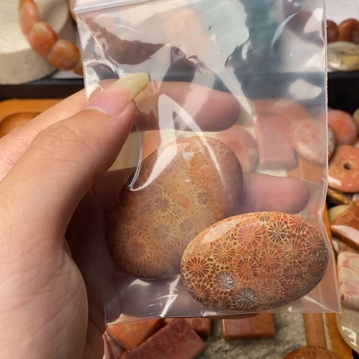 龙***人颈饰未镶嵌硅化珊瑚（珊瑚玉）